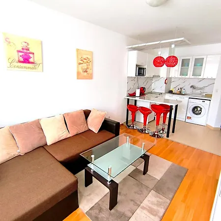 Vip Belvedere Club *