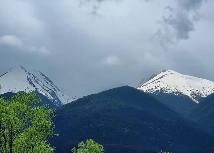 Vip Belvedere Club * Bansko